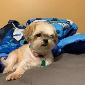 Meet your Posher, Colin